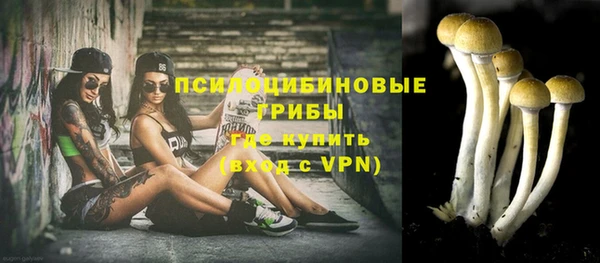 тгк Володарск