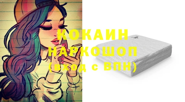 тгк Володарск