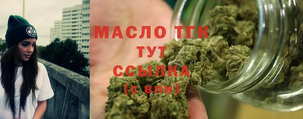 тгк Володарск