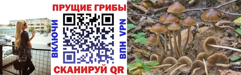 Галлюциногенные грибы Magic Shrooms  Каменск-Уральский 
